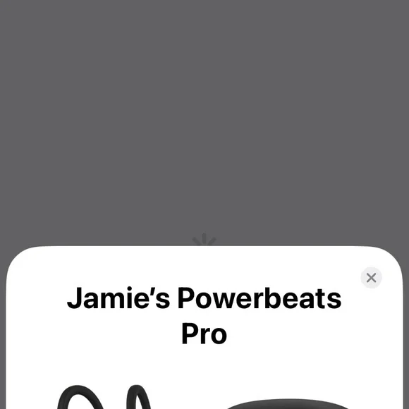 Beats by Dre Powerbeats Pro - Works Perfectly.